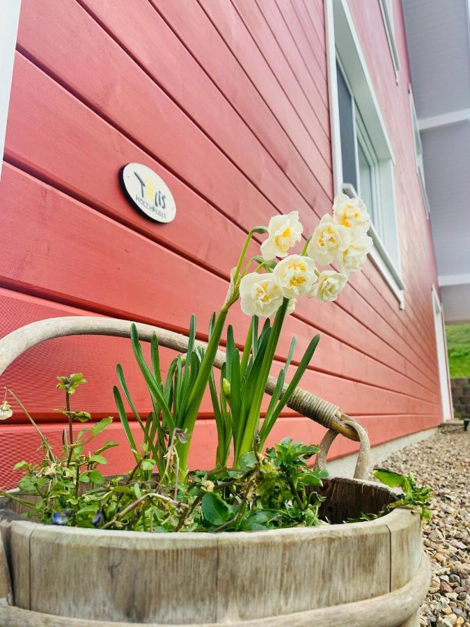 Hedwig Meine Perle Hedwigenkoog Exterior foto